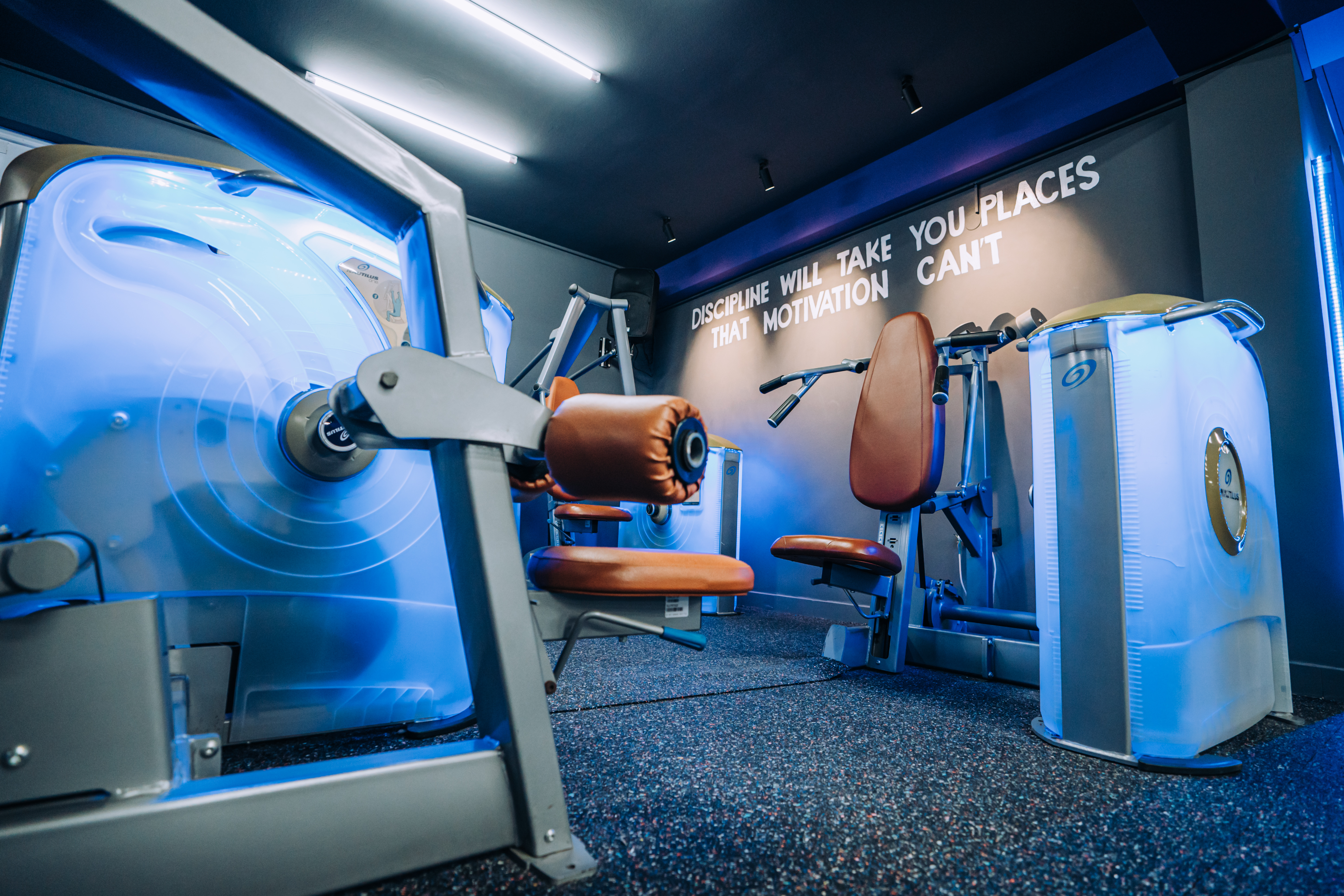 A professional gym interior with a rack of colorful Rogue weight plates in the foreground, a black power rack in the center, and various gym equipment in a dark, modern setting.