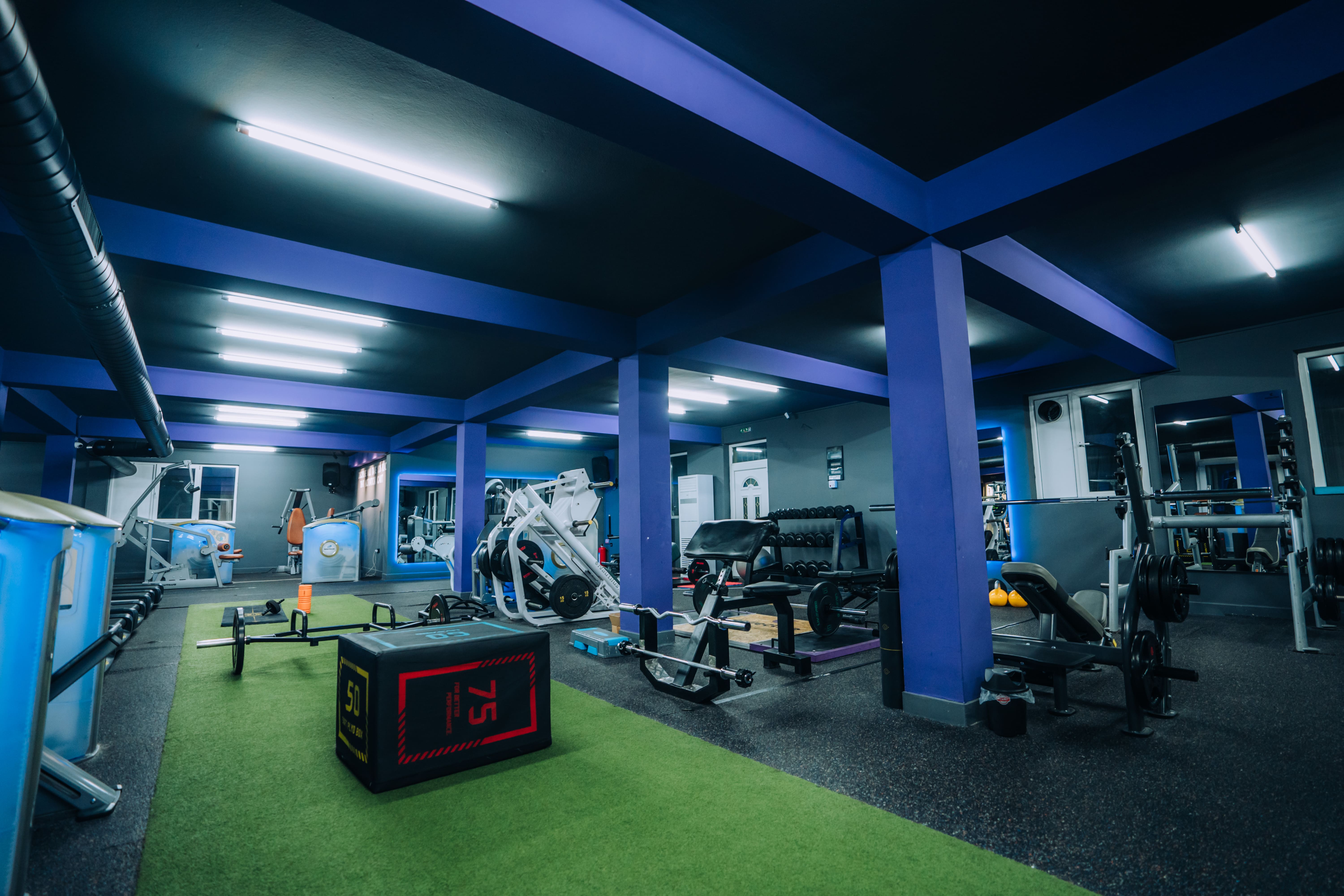 Sports Performance